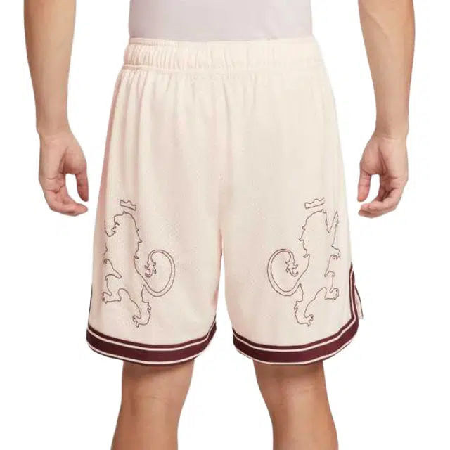 Nike LeBron