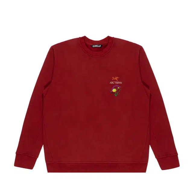 Arcteryx Emblem logo