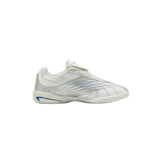 PUMA V-S2