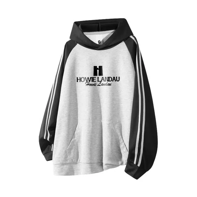 HOWIE LANDAU Logo