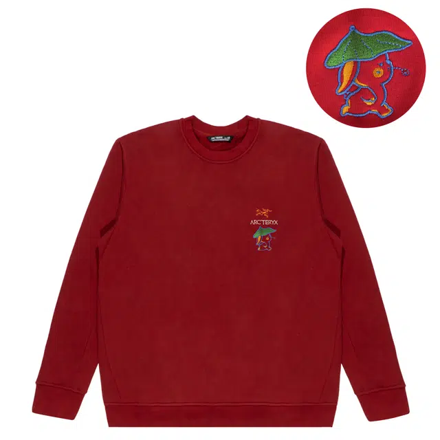 Arcteryx Emblem logo