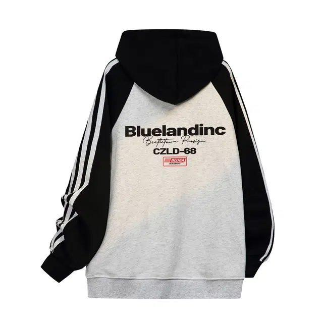 BLUELANDINC