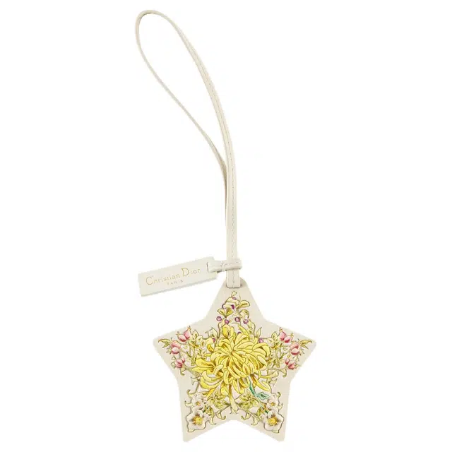 DIOR Lucky Star