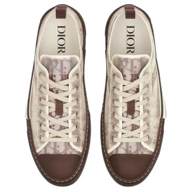 DIOR B23 Oblique