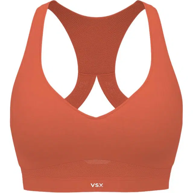 Victoria's SecretVICTORIA'S SECRET V