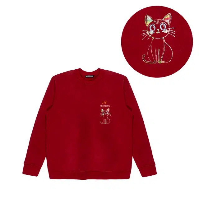 Arcteryx Emblem logo