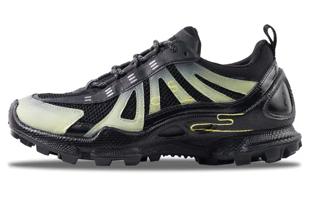ecco Biom C Trail