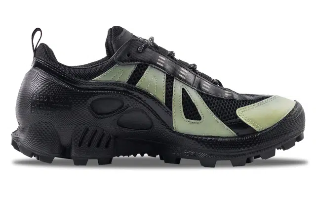 ecco Biom C Trail