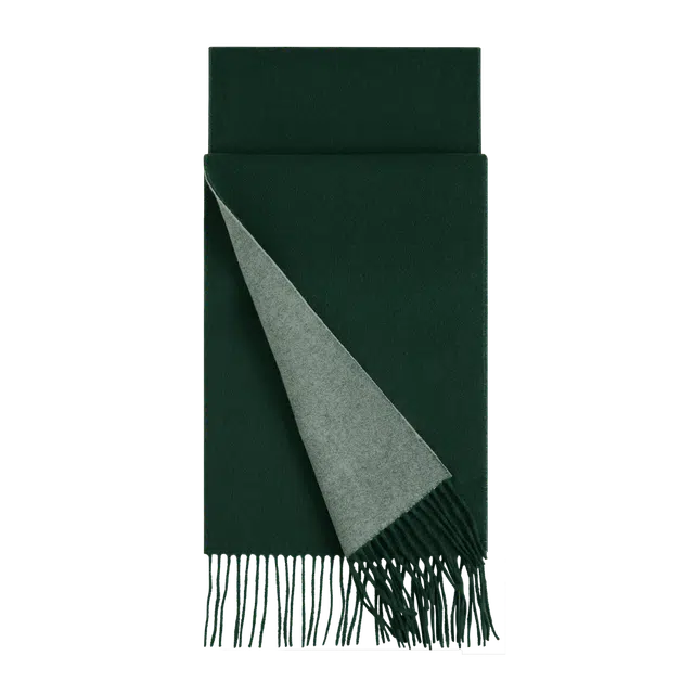 WENSLI 100