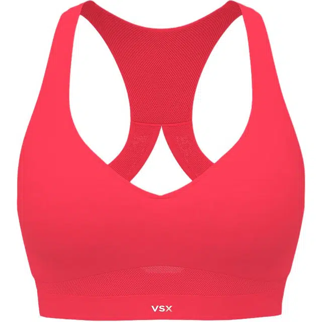 Victoria's SecretVICTORIA'S SECRET V