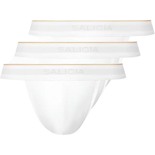 SALIGIA 3
