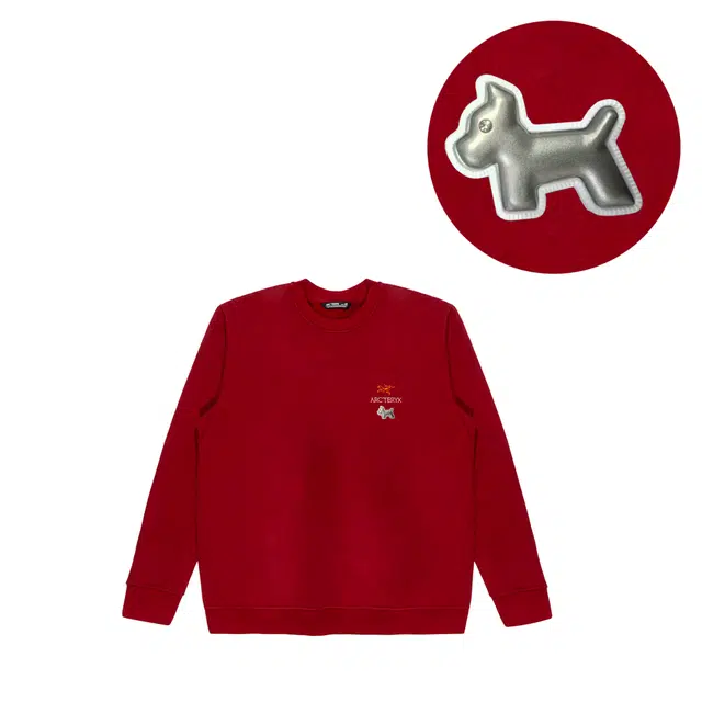 Arcteryx Emblem logo
