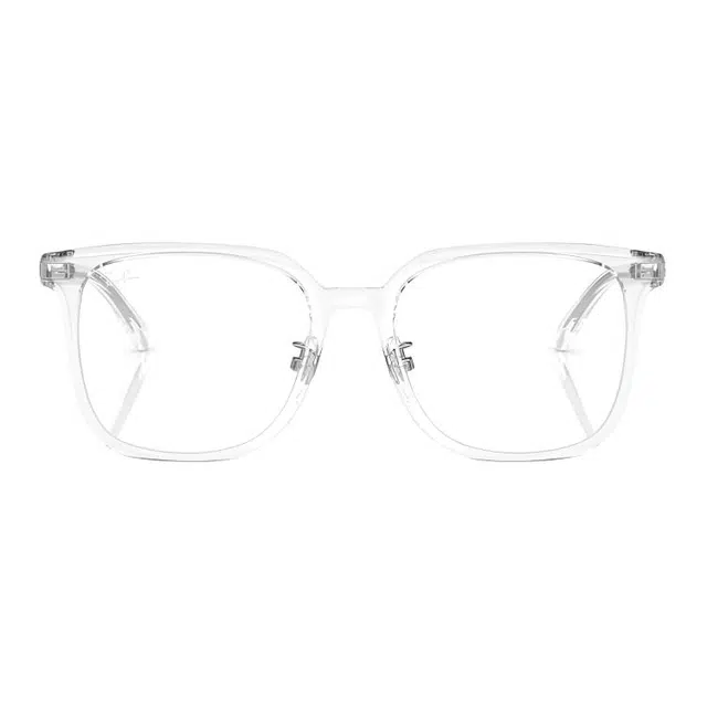 RayBan Logo