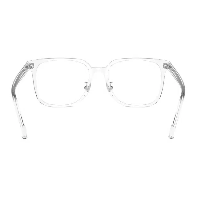 RayBan Logo
