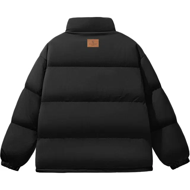 INS