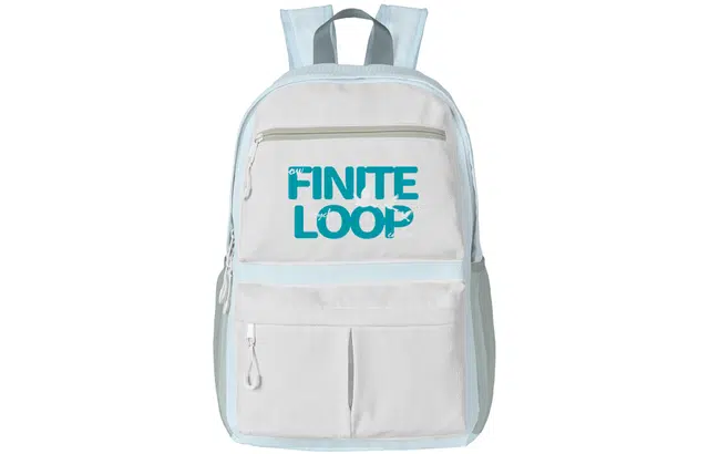 FINITE LOOP