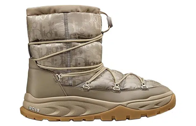 DIOR Snow