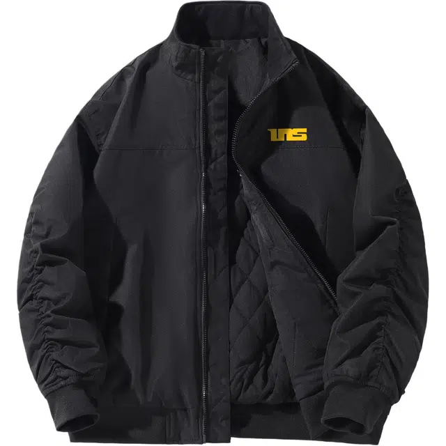 INS