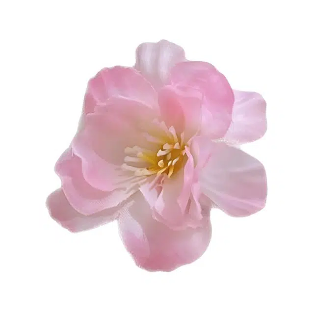 Duoduo