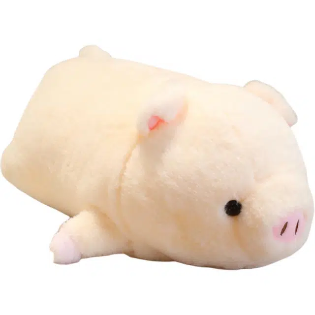JBBCN 40cm50cm