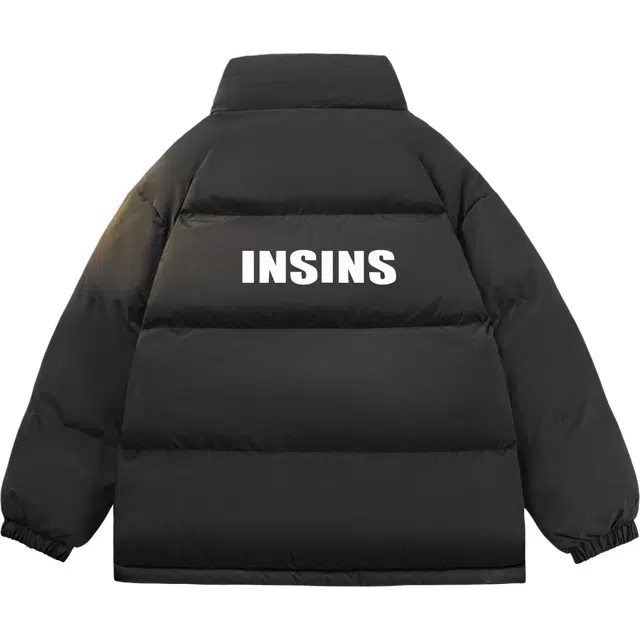 INS inslogo