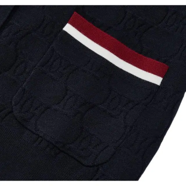 DEGAIA FW25 V