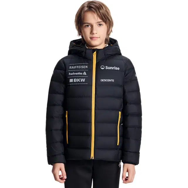 DESCENTE SKI STYLE logo