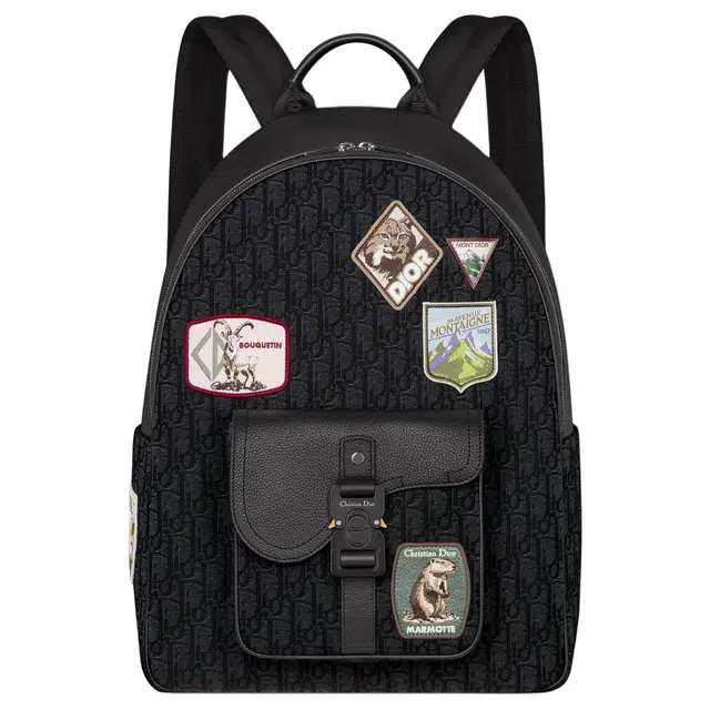 DIOR SaddleOBLIQUE