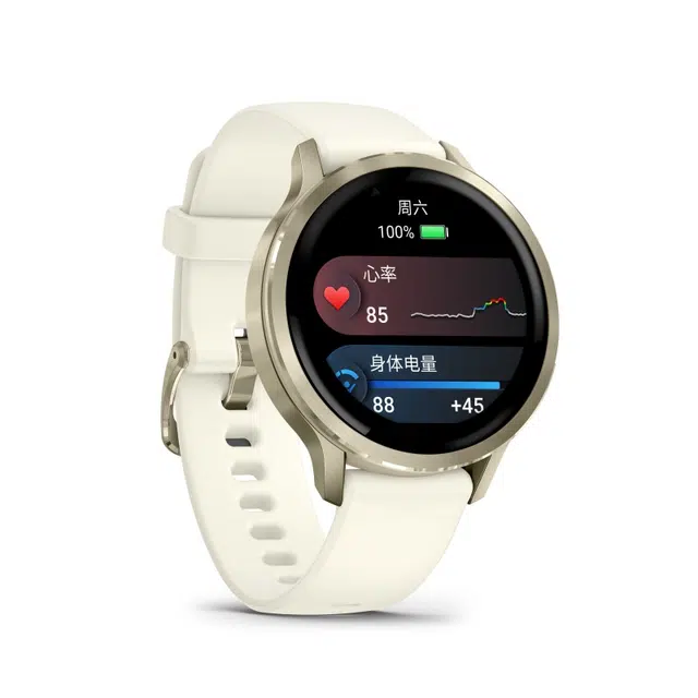 GARMIN Venu 441mm -