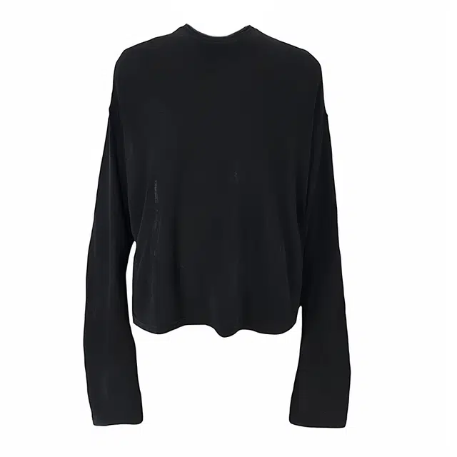 WHISTLEHUNTER T