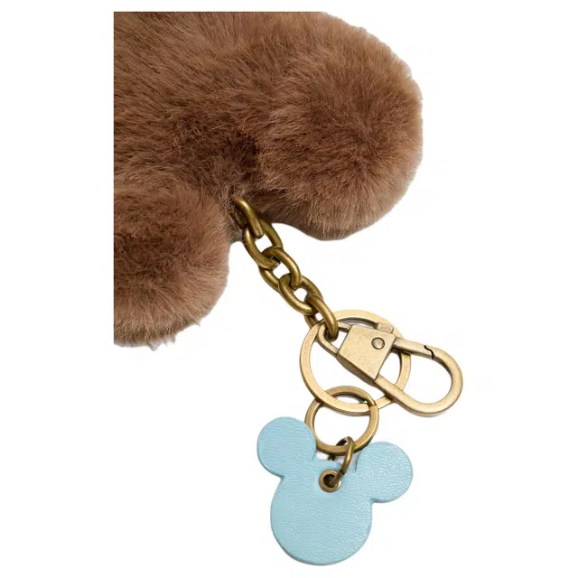 ZARA x Disney )