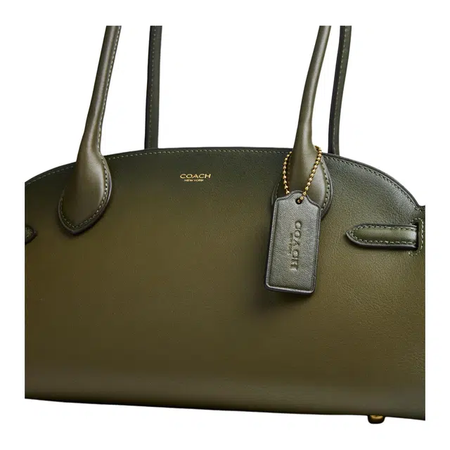 COACH Empire Carryall 34