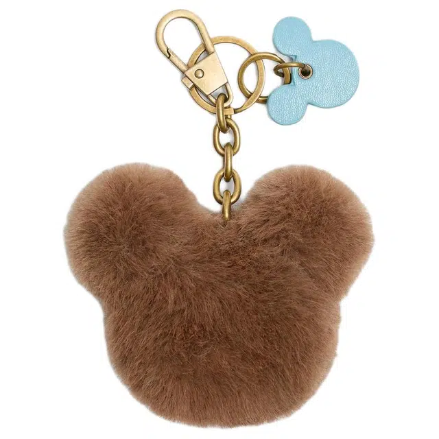 ZARA x Disney )