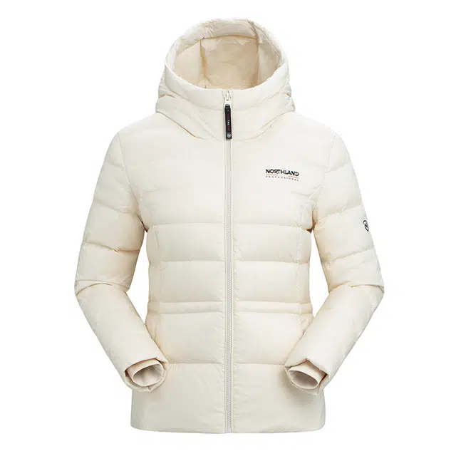 NORTHLAND PROFESSIONAL