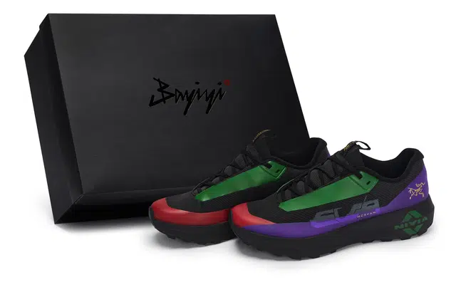 Arcteryx Norvan LD 4