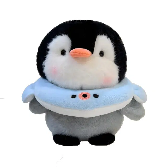 10cm20cm