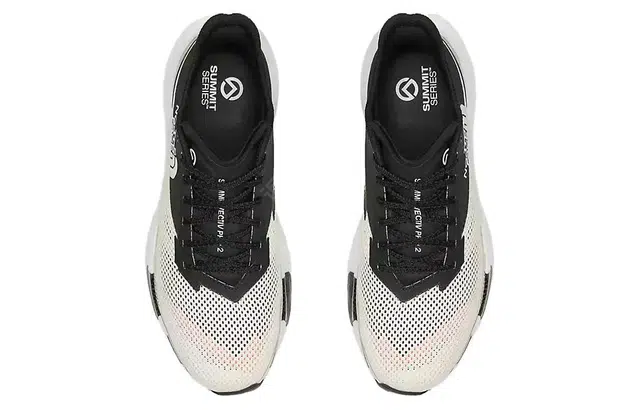 THE NORTH FACE Summit Series Vectiv Pro 2