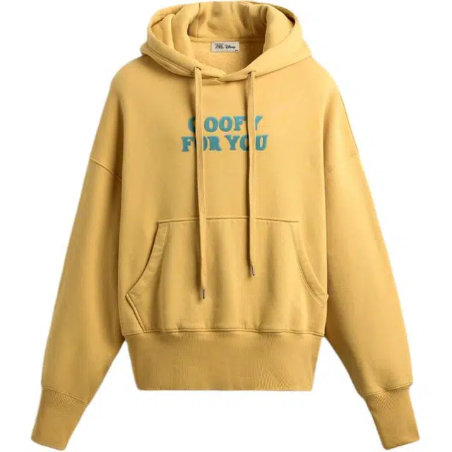 ZARA x Disney Harry Lambert FW25