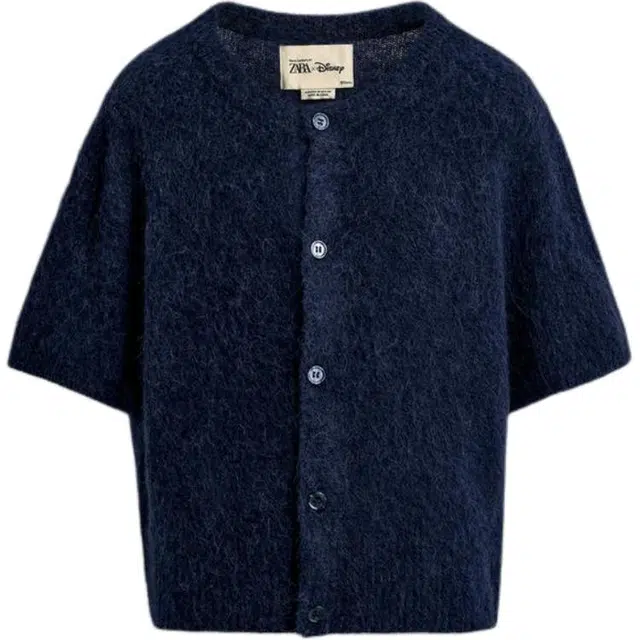 ZARA x Disney Harry Lambert FW25