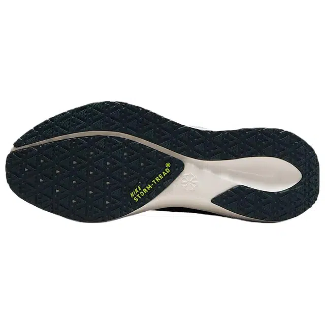 Nike Pegasus 41 GORE-TEX