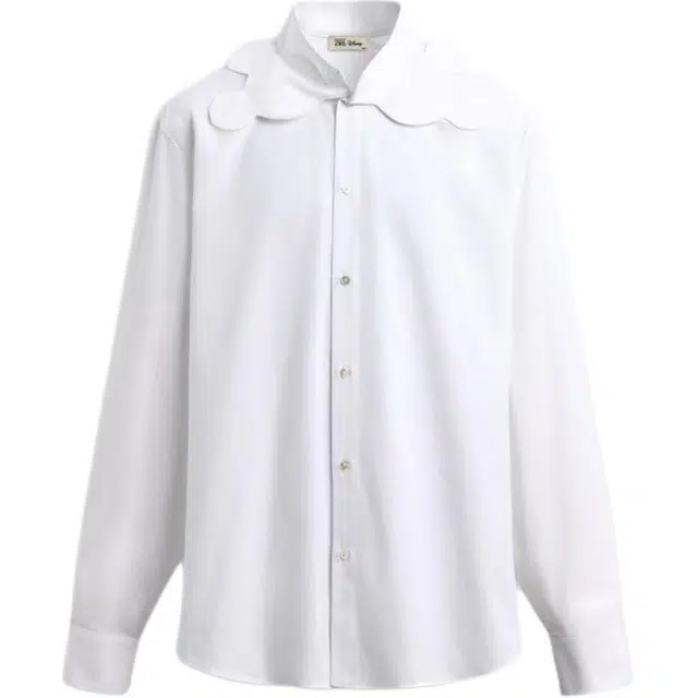 ZARA x Disney Harry Lambert FW25