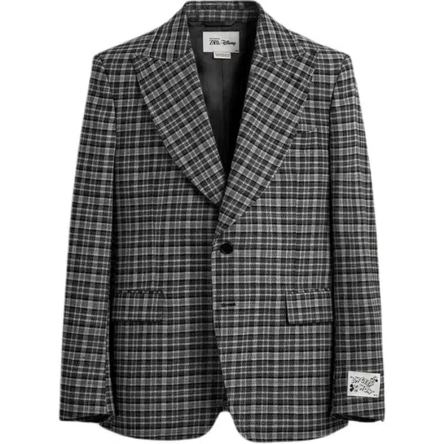 ZARA x Disney Harry Lambert FW25