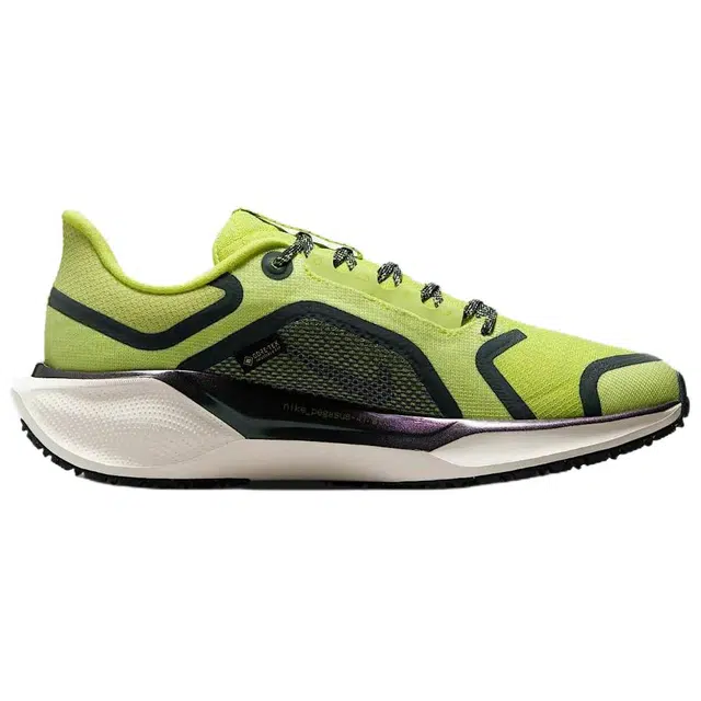 Nike Pegasus 41 GORE-TEX