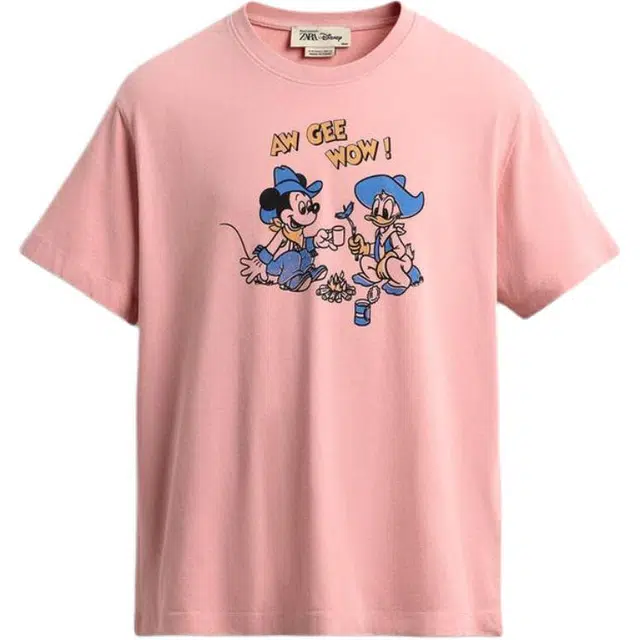 ZARA x Disney Harry Lambert FW25 T
