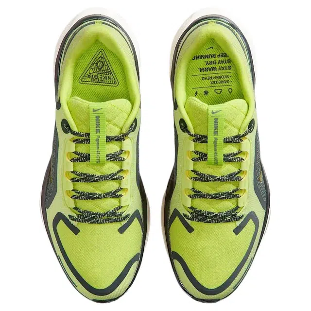 Nike Pegasus 41 GORE-TEX