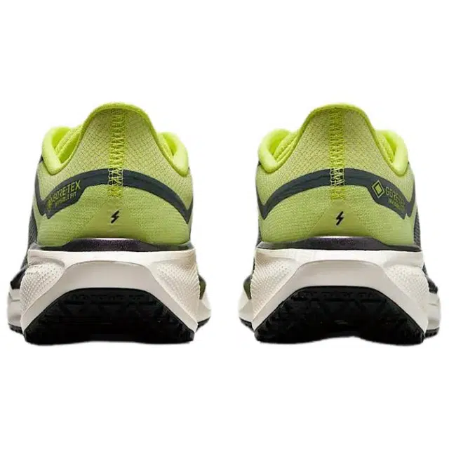 Nike Pegasus 41 GORE-TEX