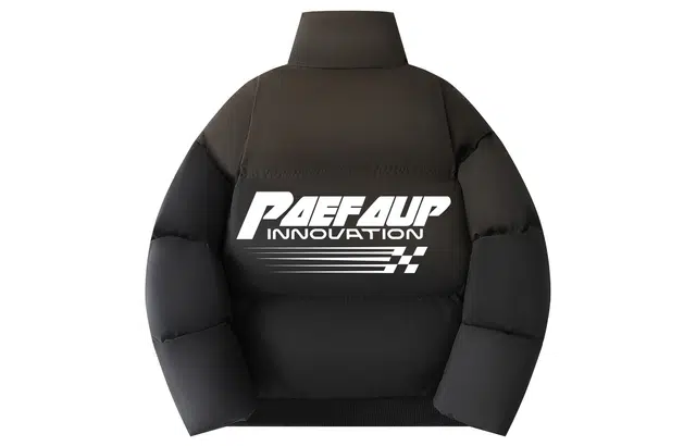PAEFA logo