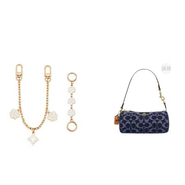 COACH Nolita-20