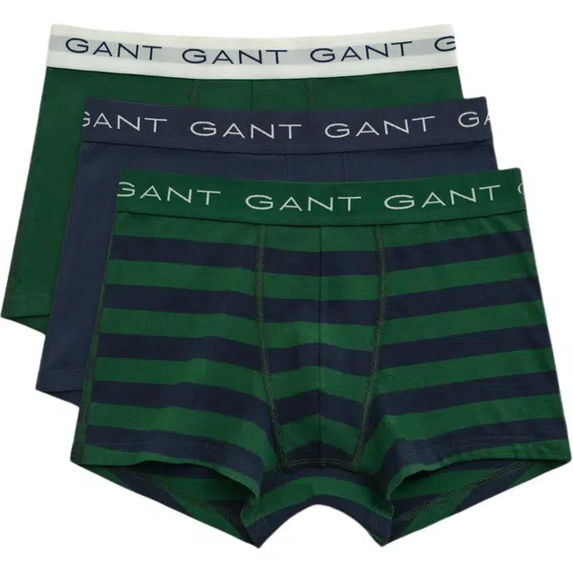GANT 3