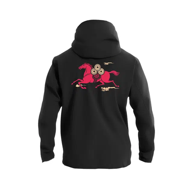 Arcteryx GAMMA MX logoHoody